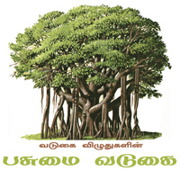 பசுமை வடுகை